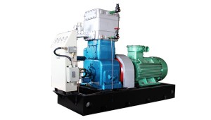 ZW-2.0/10-16液化石油气压缩机