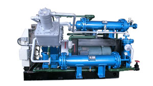 VW-30.5-25氨气压缩机