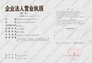 公司营业执照